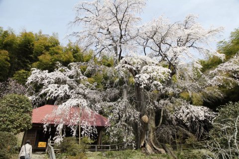 🏯 설촌암 (셋손안)